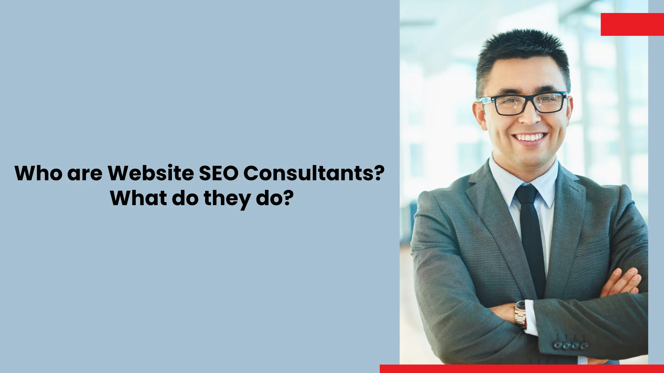Who are Website SEO Consultants? What do they do?